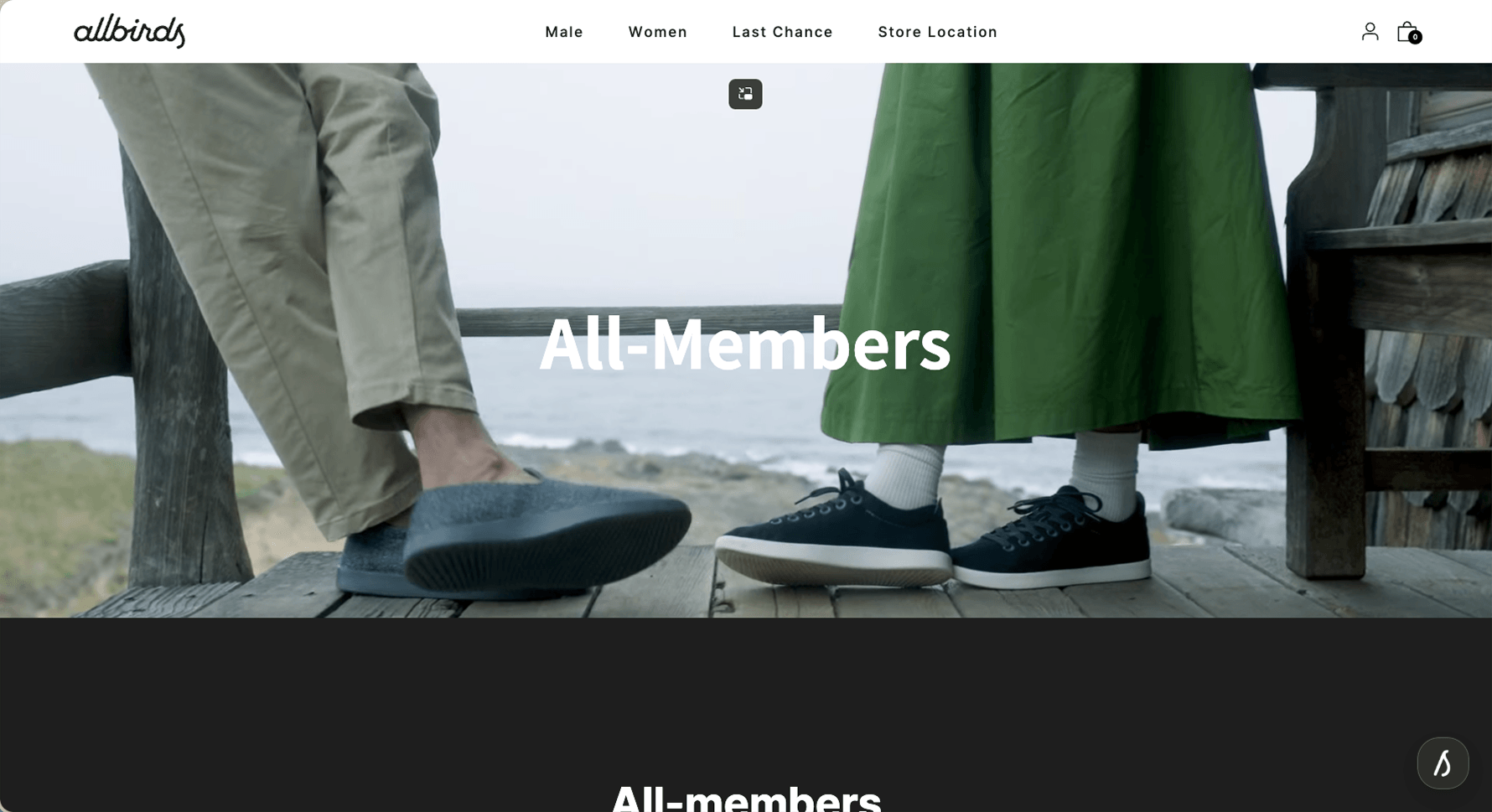 Allbirds' on-brand loyalty page rendered natively in their Shopify theme